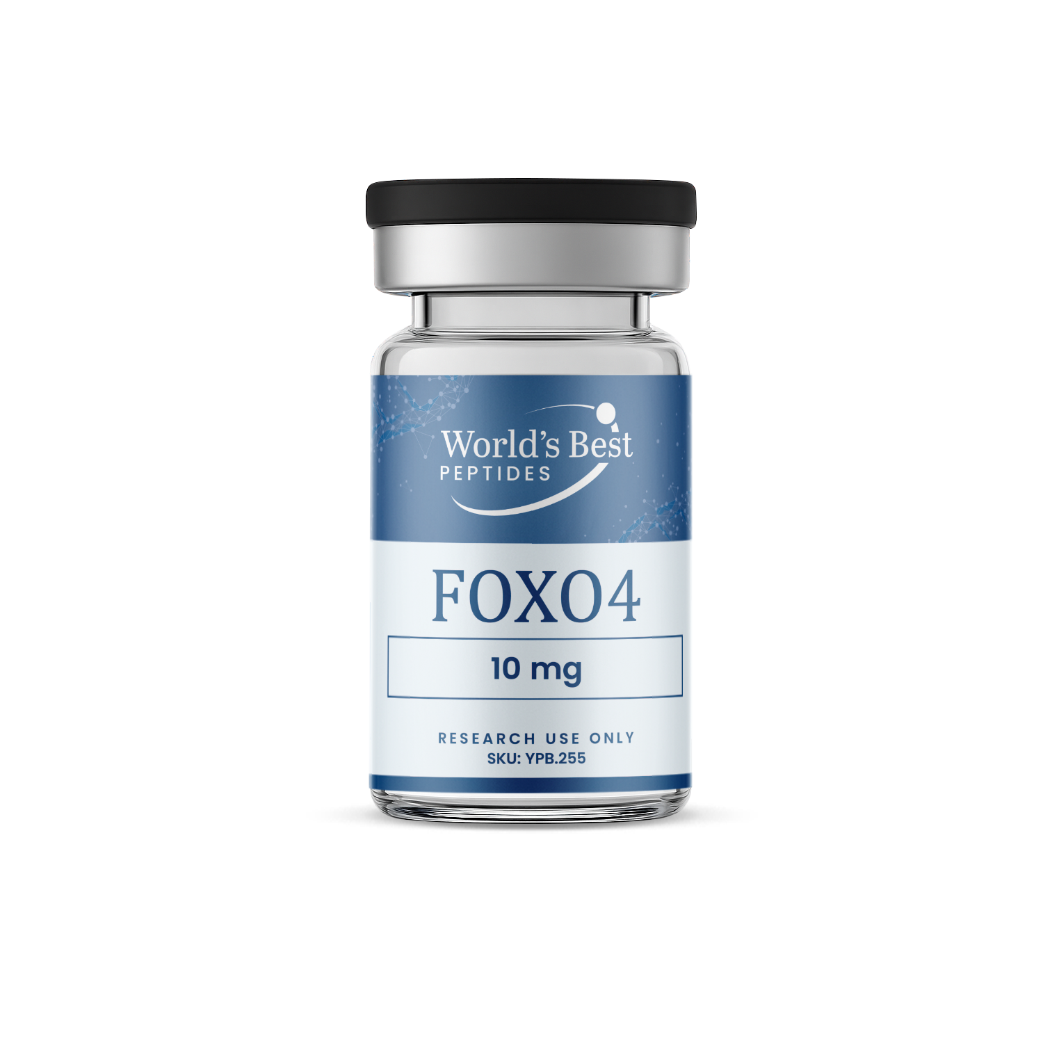 FOXO4 (10mg)